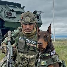 doberman military Page