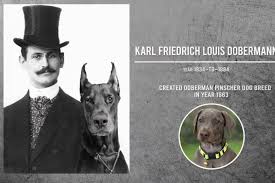 doberman colors